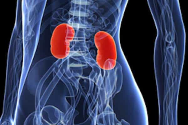 Foods and Drinks to Maintain Your Kidneys’ Health